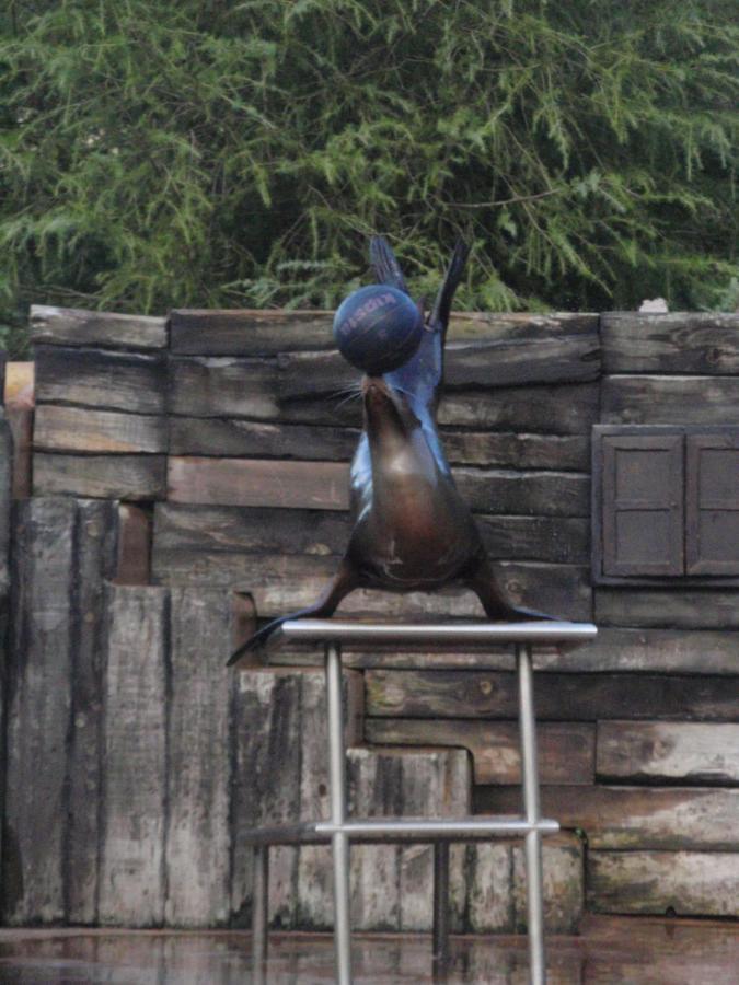 Casa Para Vacaciones Junto Al Parque De La Naturaleza De Cabarceno Obregon ภายนอก รูปภาพ