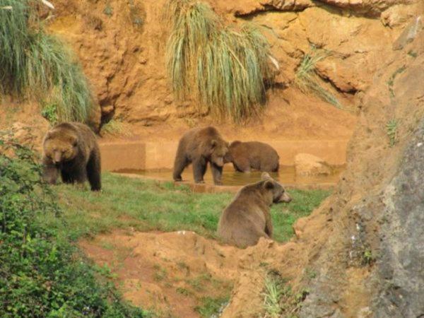 Casa Para Vacaciones Junto Al Parque De La Naturaleza De Cabarceno Obregon ภายนอก รูปภาพ